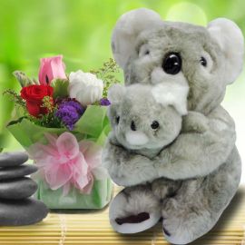 Koala Bear 25cm & 3 Mixed Roses Standing Bouquet