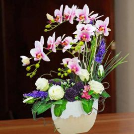 Artificial Phalaenopsis Orchid Table Arrangement 65cm Height