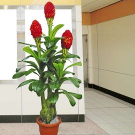 Artificial Ginger Plant 160cm Height
