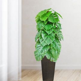 Artificial Monstera Plant In Planter Pot with wheels ToTal Height 138cm