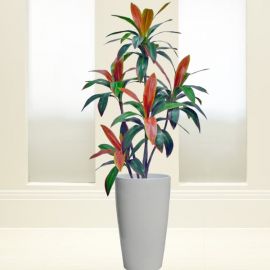Artificial Cordyline Plant With Tall Circular Pot Total Height 160cm