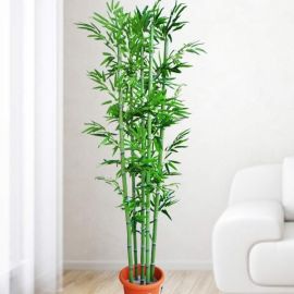 Artificial Bamboo Tree 2 Meter Height