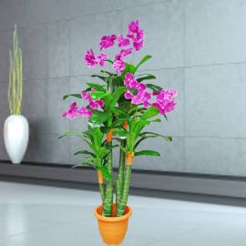 Artificial Phalaenopsis Orchids Tree 168cm