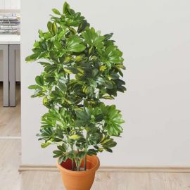 Artificial Schefflera Plants 100cm Height