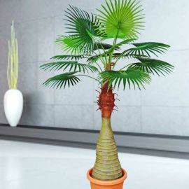 Artificial Palm Tree 180cm Singapore Delivery