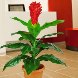Artificial 3 Feet Height Ginger Flowering Plant