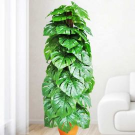 Artificial Monstera Plant 145cm Height