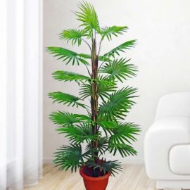 Artificial Lady Finger Palm Tree ( Rhapis palms ) 160cm Height