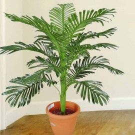Artificial Palm Tree 3 Feet