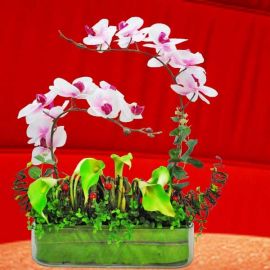 Artificial Phalaenopsis Orchid & Calla Lilies In Glass Vase Table Arrangement
