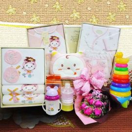 Baby Girl Gift set BB052