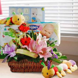 Baby Gift Basket BB066 Delivery