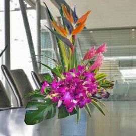 Bird of paradise & Orchid Flowers Arrangement 