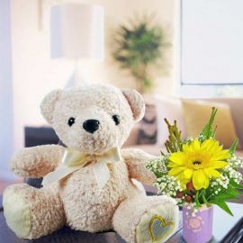 10 inches Bear With Gerbera Flower Standing Bouquet