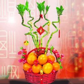5 Curly Bamboo With 18 Oranges New Year Basket Arrangement
