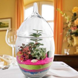 3 Mini Live Plants Terrarium in Glass Vase 45cm Height