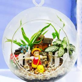 3 Mini Live Plants Terrarium in Glass Vase 15cm Height