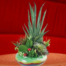 Artificial Aloe vera & Cactus in Glass Vase