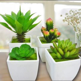 4 Potted Artificial Mini Succulent plant