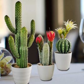 3 Artificial Cactus 60cm, 33cm & 33cm.