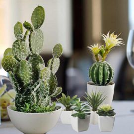 6 Artificial Cactus, 50cm, 33cm & Qty 4 of 10cm