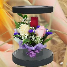 3 Mixed Roses in Cylinder Gift Box 20cm Height