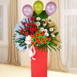 Mixed Color Gerbera Flowers In Box Stand Arrangement About 5 Fee