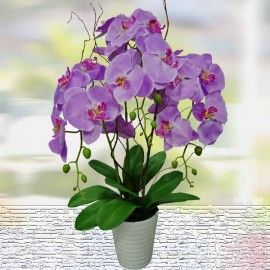 Silk Phalaenopsis Orchid Arrangement