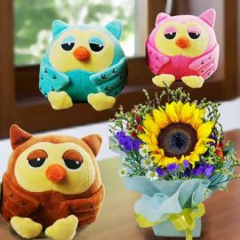 15cm OWL Soft Toy (Choose One) With SunFlower Standing Bouquet