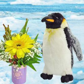 Penguin 8 inches With Gerbera Bouquet