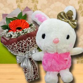 20 cm Bunny & Single Orange gerbera Bouquet